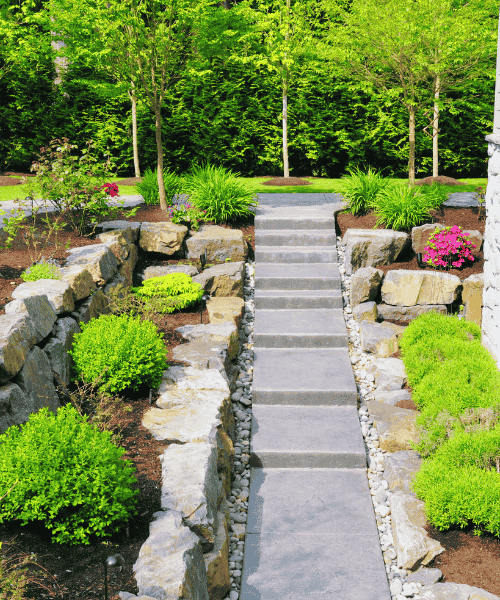 Pathway through a landscaped garden by hard scraper.